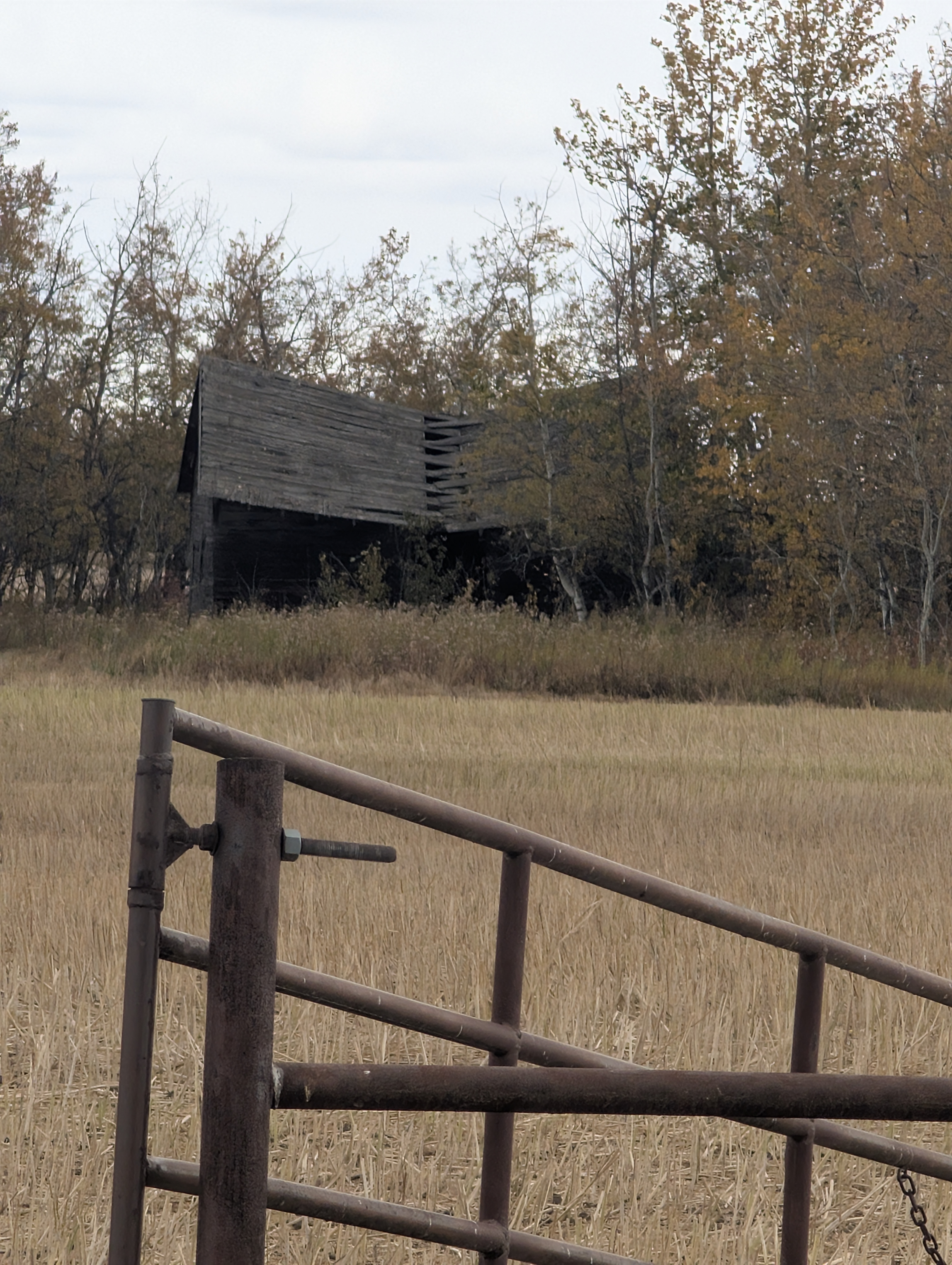 Old Farmstead