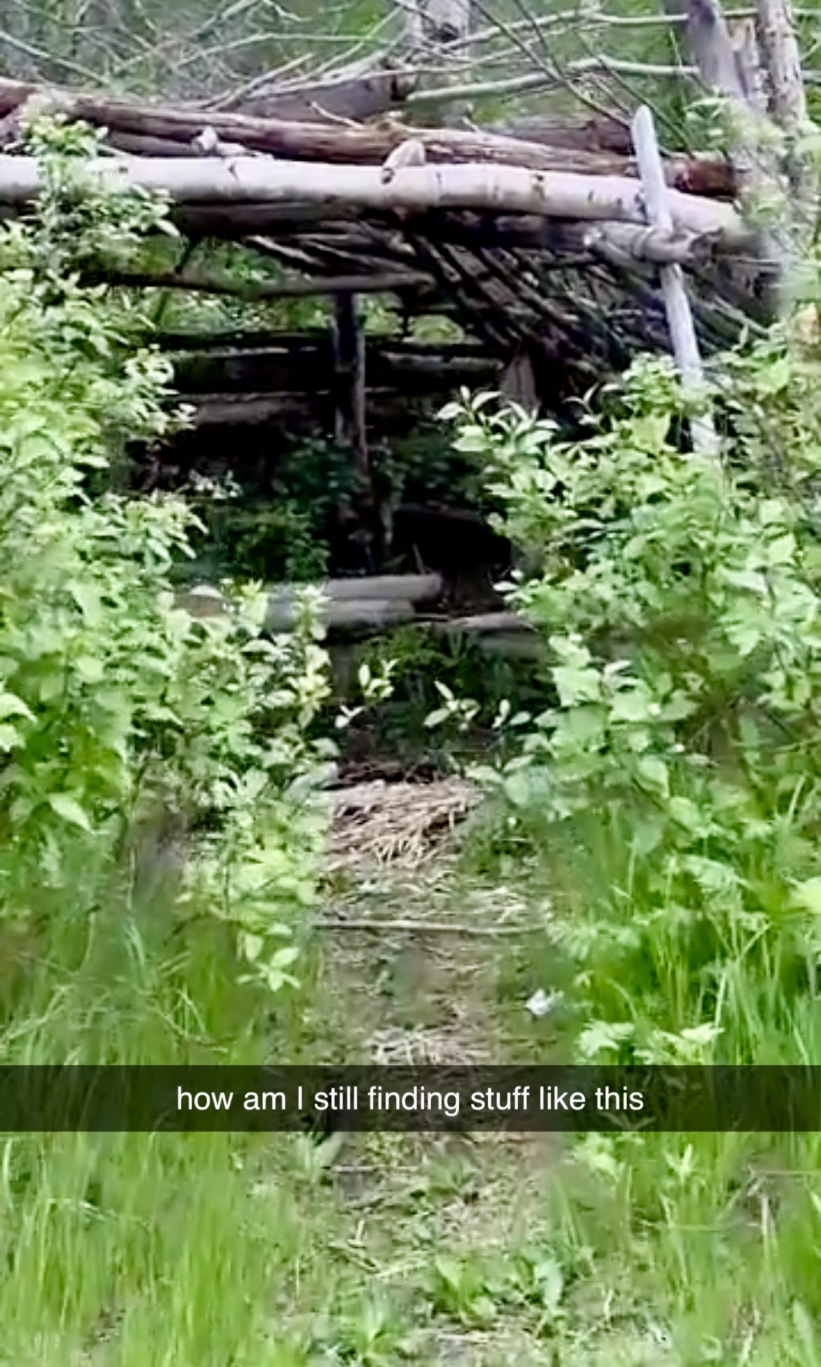 Photo of Brandys landing