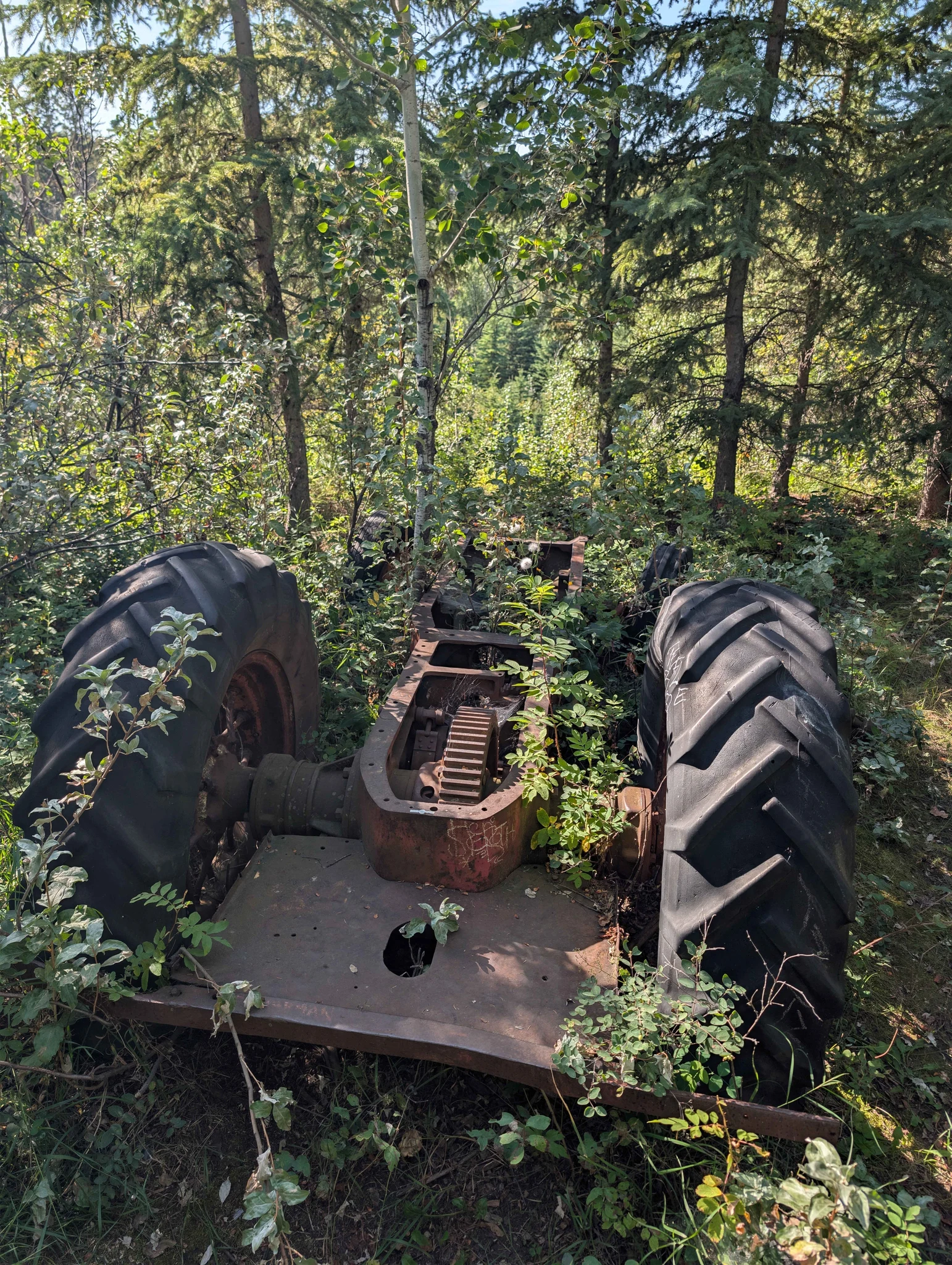 Photo of Farm Tractor