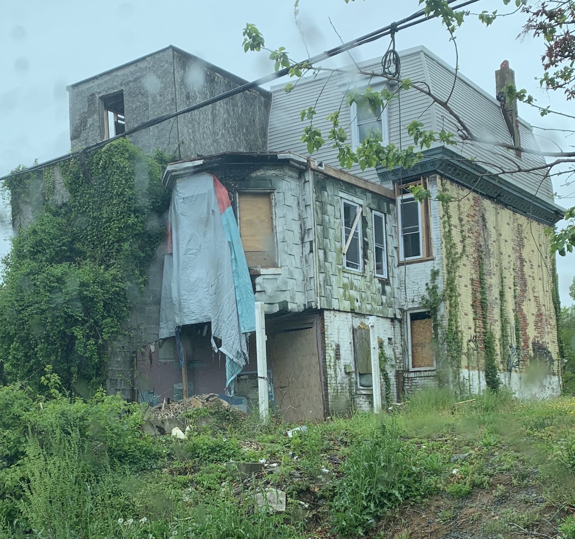 Recent photo